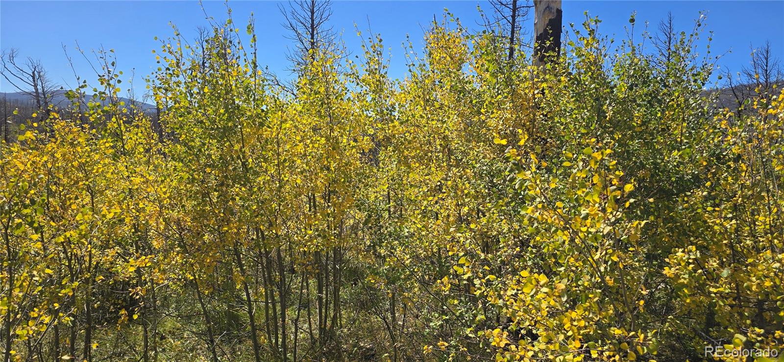 Lot 1684 Emery Loop