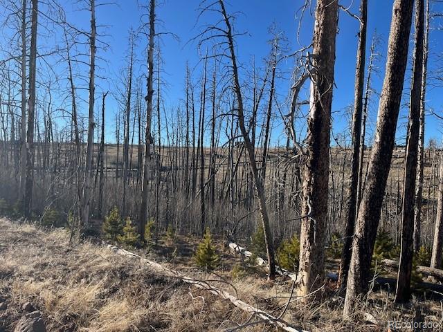 Lot 1502 Vonheyl Lane