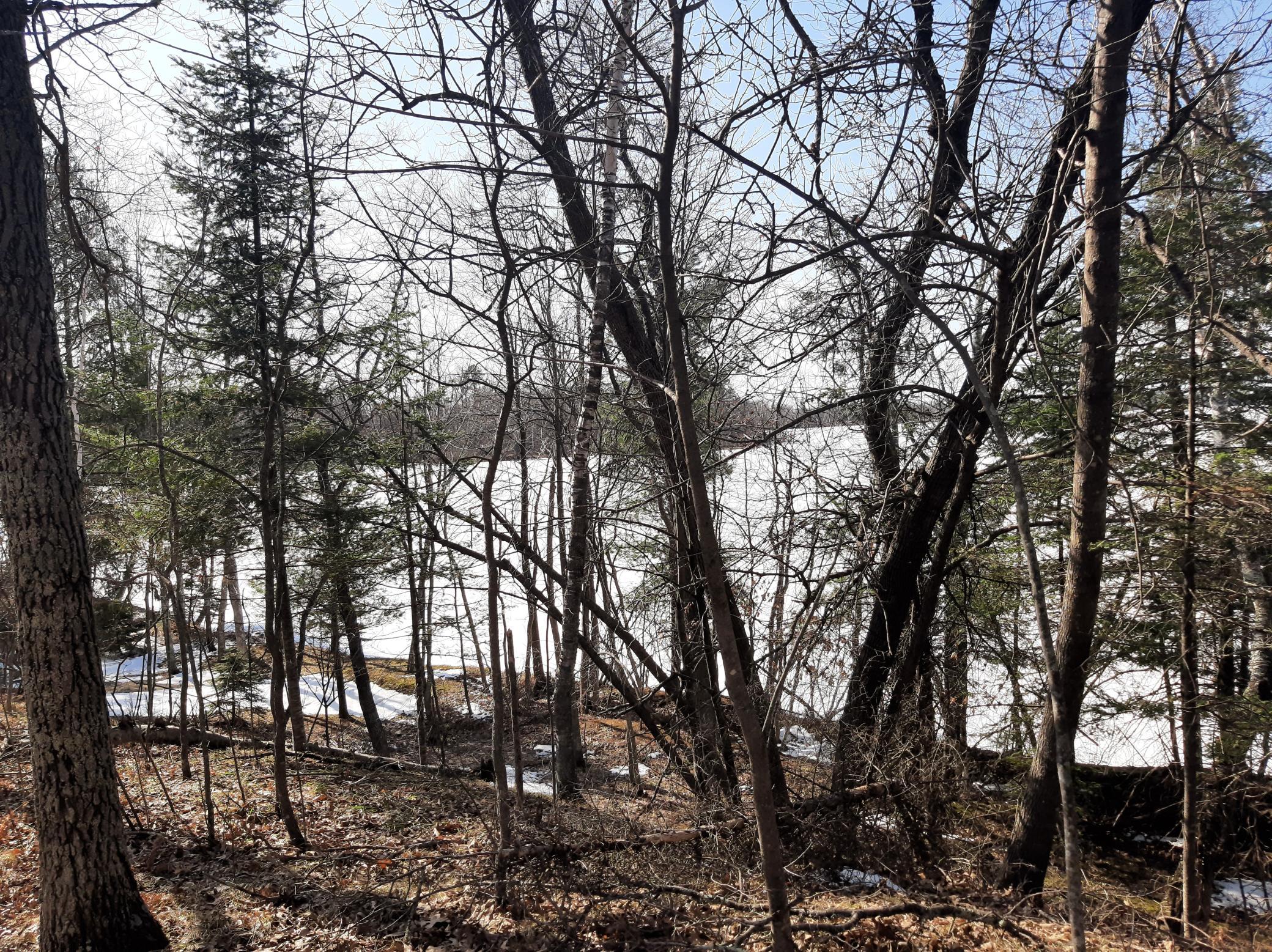 TBD Washburn Bay Trail NE