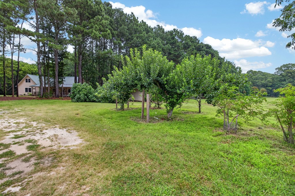3315 Seaside Rd B