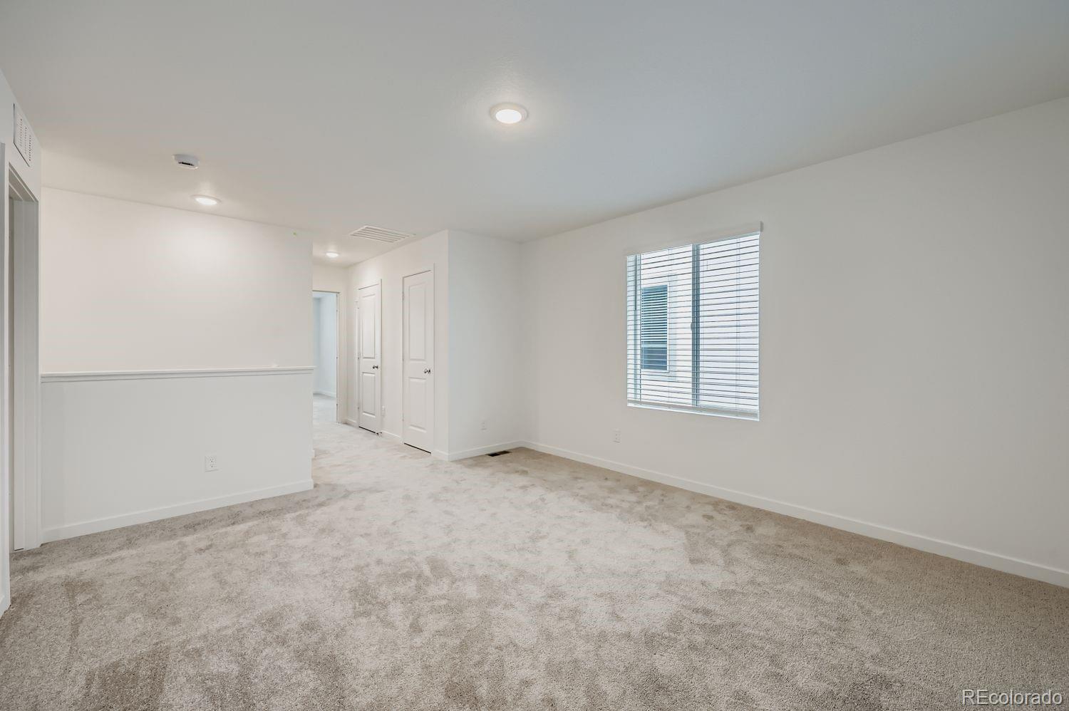 8970 Blue Feather Loop