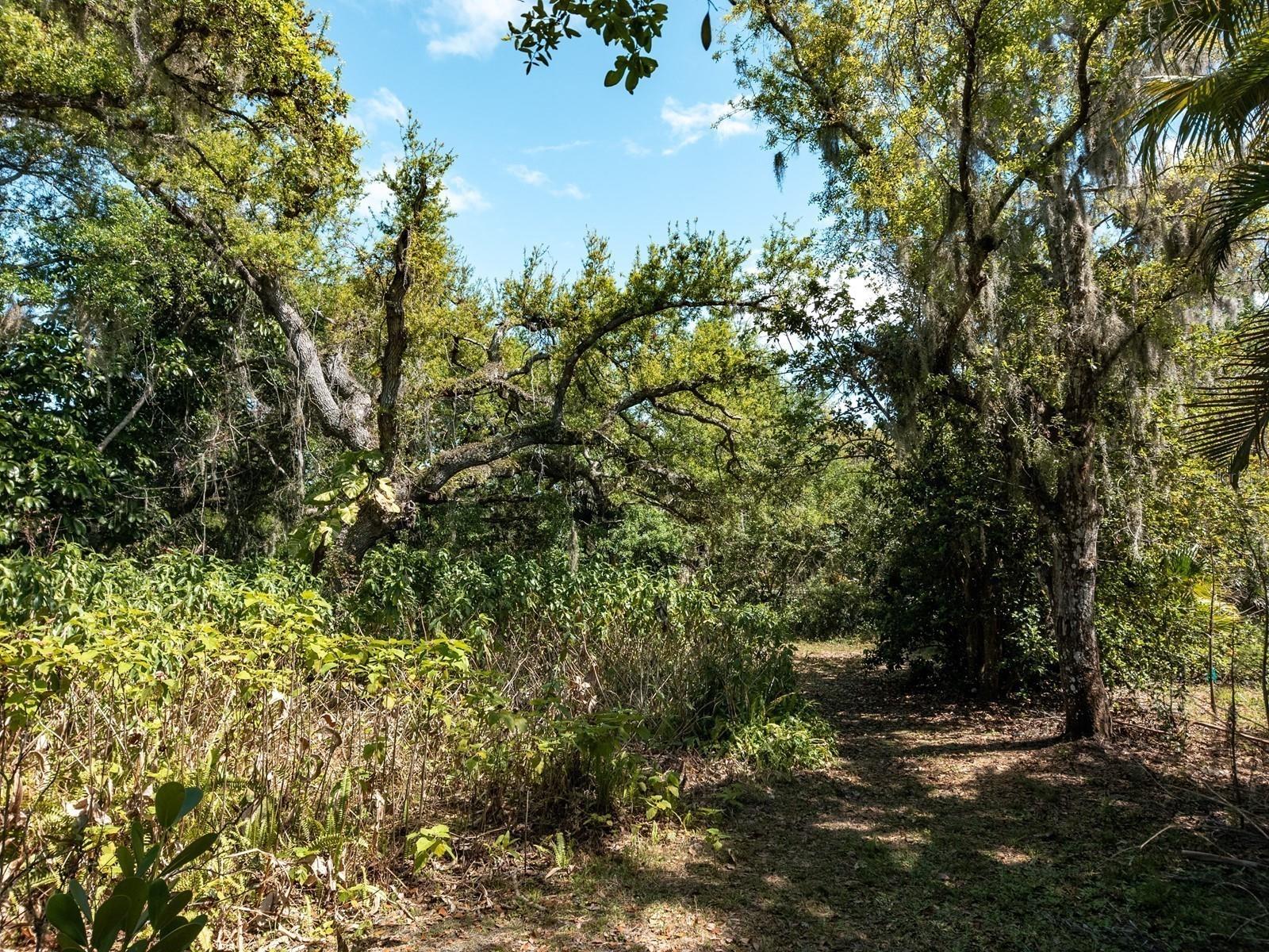 7311 Proctor Road