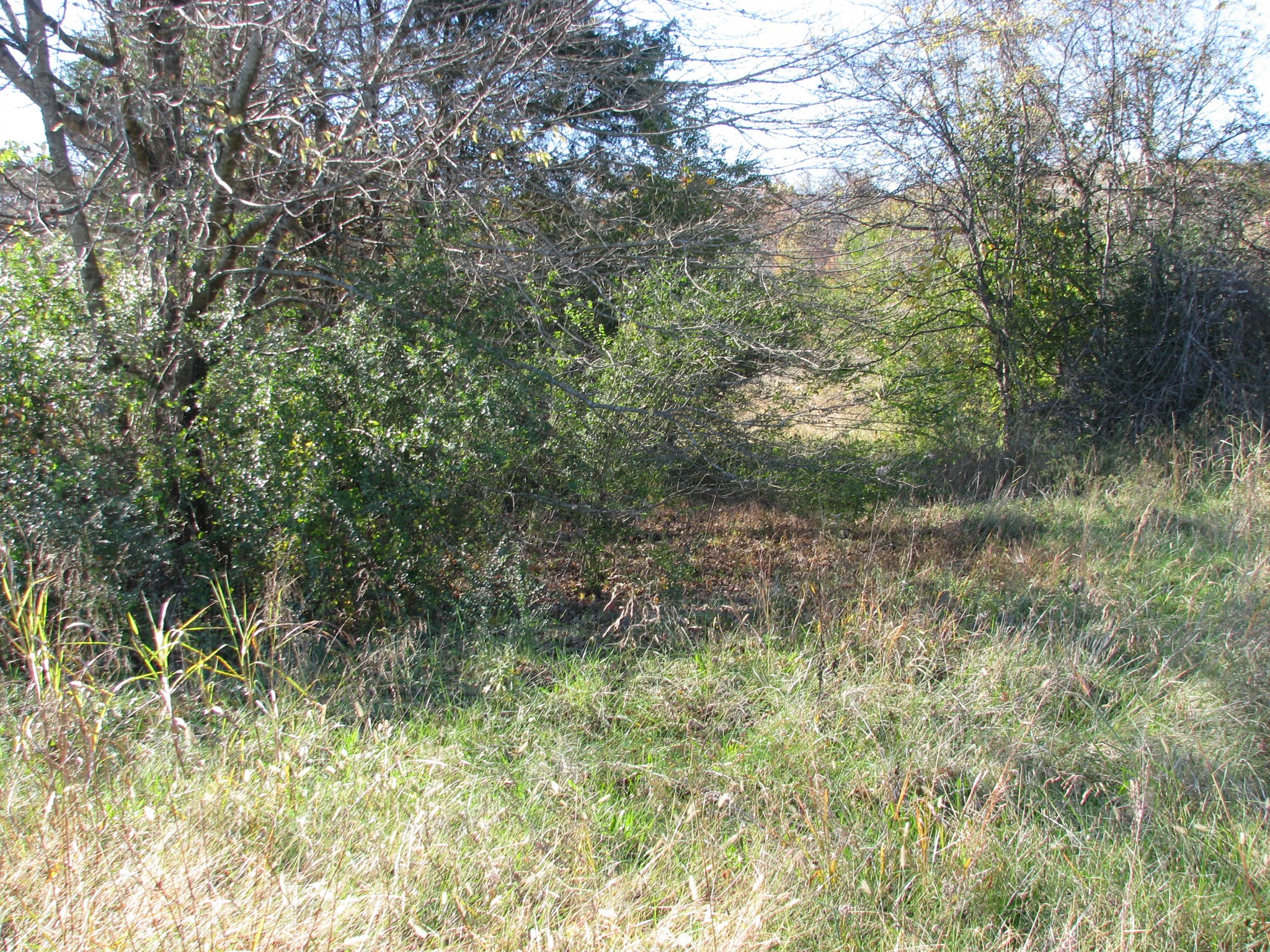 199 Spann Loop