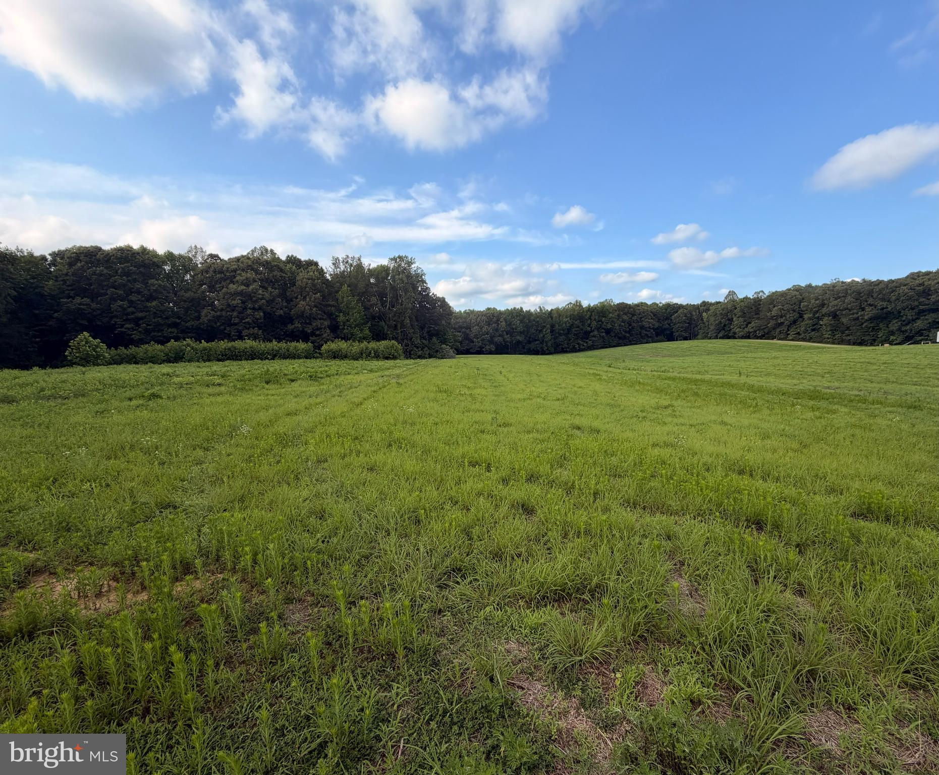 Stunning 85.29-Acre Farm Offering Privacy, Recreation & Endless PossibilitiesDiscover the perfect blend of privacy, natural beauty, and opportunity with this stunning 85.29-acre farm. Thoughtfully subdivided into three separate parcels, each featuring a county-approved septic site, this exceptional property is ready for your dream home, family estate, recreational retreat, or investment opportunity.The 41.29-acre main parcel is tucked away at the rear of the property, offering outstanding privacy and a peaceful setting surrounded by nature. Lots 1 and 2 each encompass approximately 22 acres, providing generous homesites with ample room to enjoy country living.Lot 1 includes an impressive approximately 40’ x 40’ engineered building, ideal for equipment storage, a workshop, or a future hobby farm. The building is fully insulated (excluding the overhead doors) and features a concrete floor, electrical outlets, and both interior and exterior lighting powered by your generator. The driveway leading to and surrounding the building has been improved with asphalt millings, providing durable, low-maintenance access throughout the year.Outdoor enthusiasts will appreciate the property’s extensive trail system, featuring several miles of scenic trails winding through a beautiful mature hardwood forest. Most of the primary trails have been maintained as 6+ foot-wide paths, making them ideal for hiking, horseback riding, hunting, compact tractors, ATVs, and UTVs. Whether you’re exploring the woods, enjoying abundant wildlife, or simply taking in the peaceful surroundings, this property offers year-round enjoyment.With breathtaking natural beauty, multiple approved building sites, valuable infrastructure already in place, and endless opportunities for recreation and outdoor living, this remarkable property is truly a rare offering.Showings are by appointment only and must be scheduled with the current owner.The seller may elect to complete the sale as part of a 1031 Exchange.All Three Lots are as follows:    Lot 33-121B, Lot 33-121G, Lot 33-121HPLEASE VERIFY EVERYTHING ON DRAWINGS WITH KING GEORGE COUNTY.