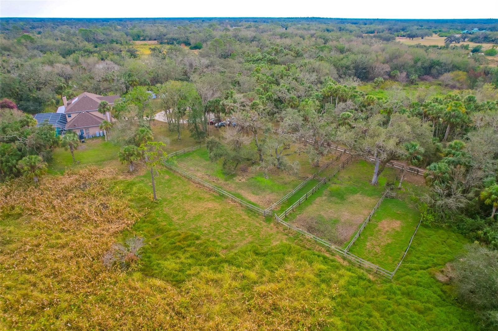 1103 Wild Citrus Lane