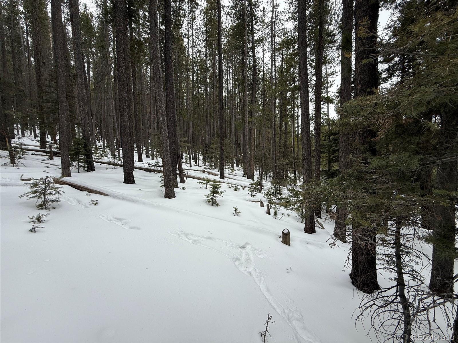 Lot 2805 Moir Drive