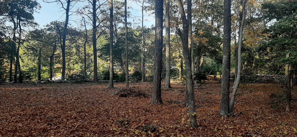 Lot 17 Wilsonia Shores Dr 17