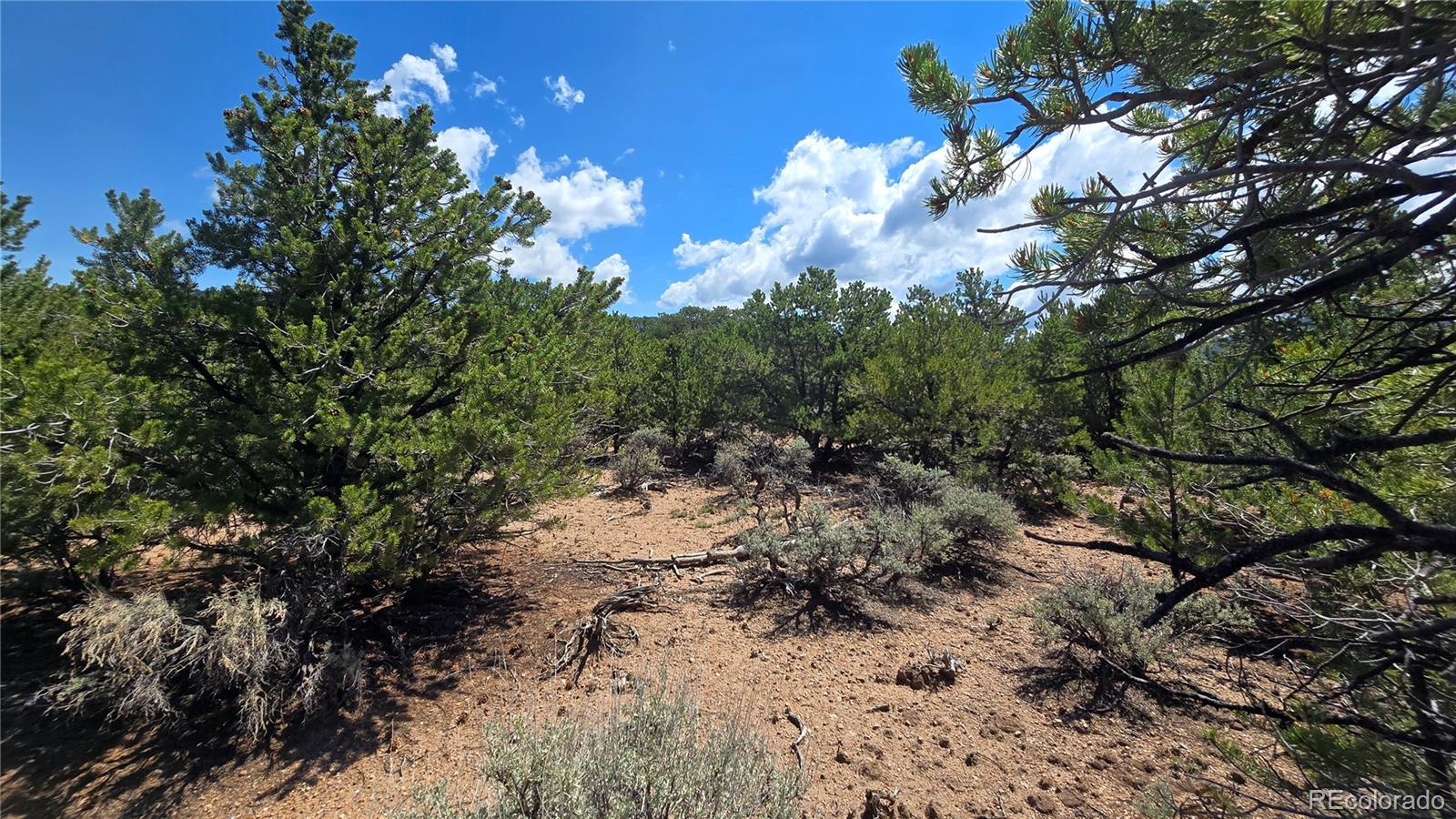 Lot 1615 Dunn Road
