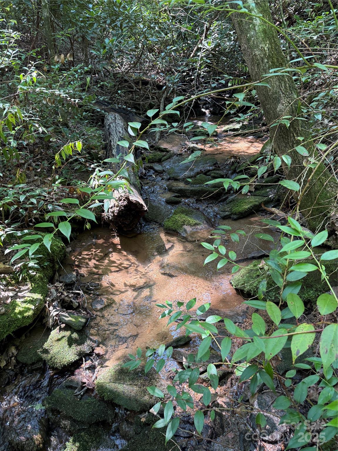 1187 Grandview Peaks Drive 187