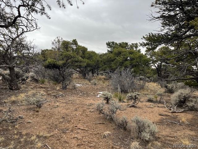 Lot 2087 Sandoval Road
