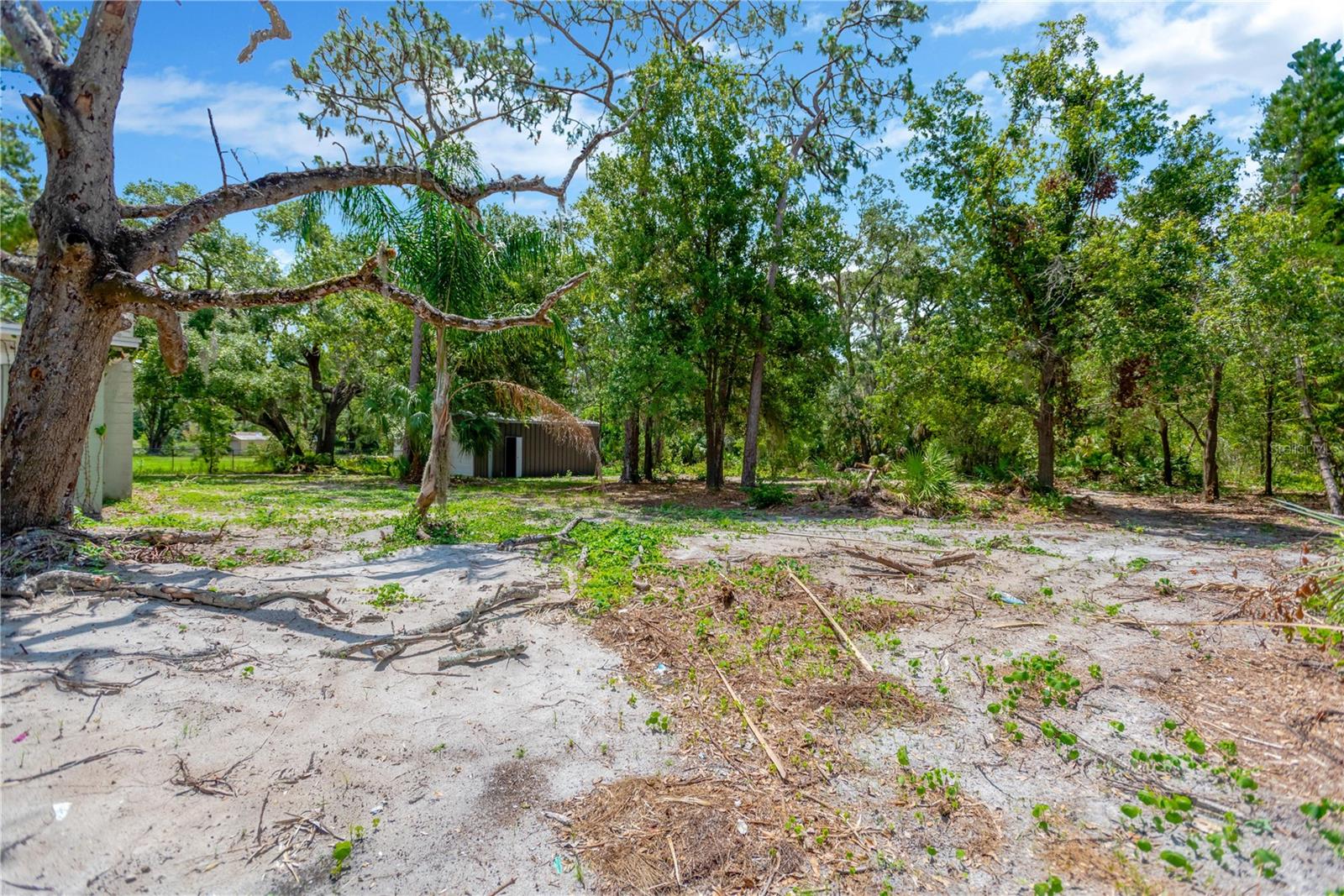 605 Ronele Drive