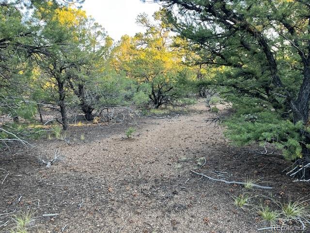Lot 1575 Balleroy Road