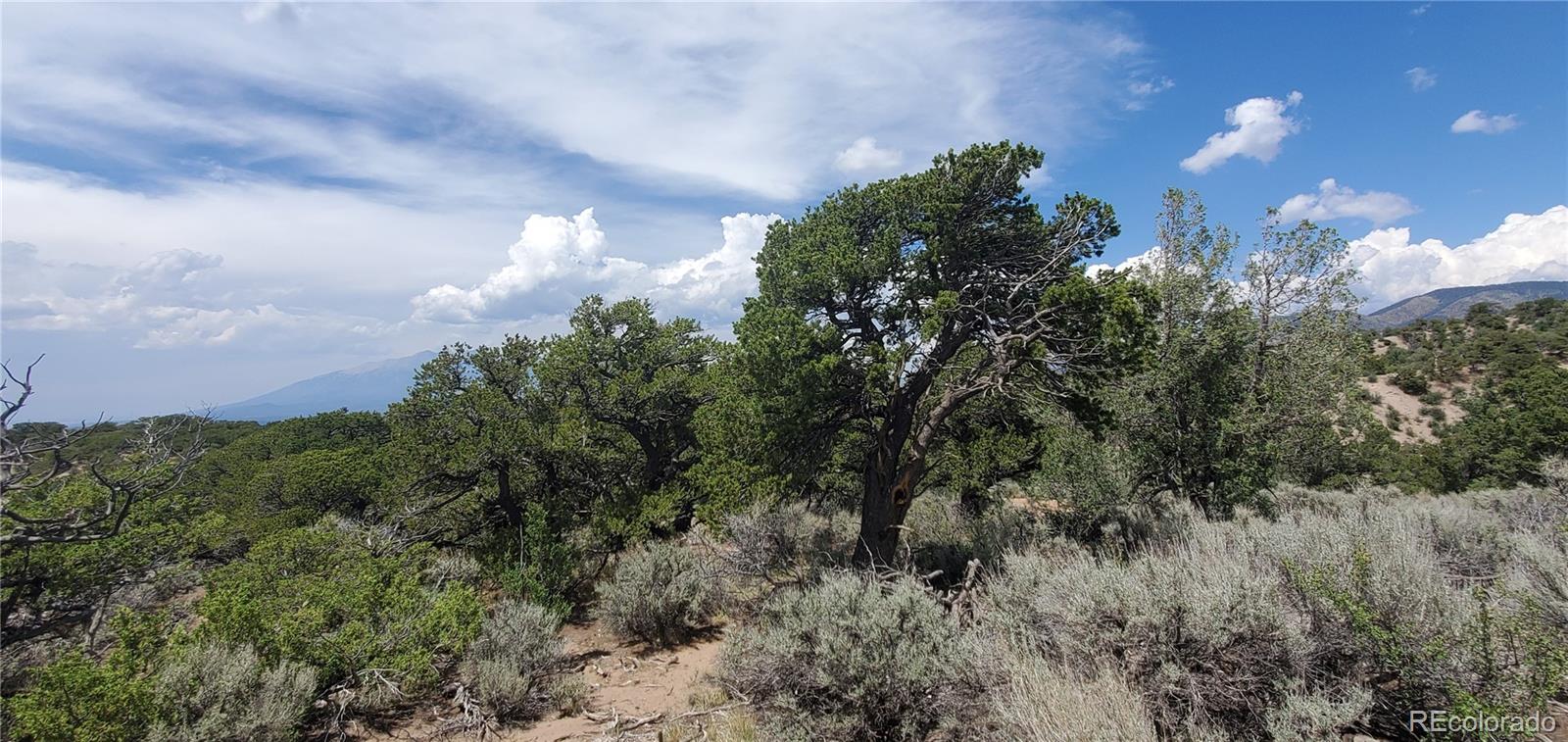Lot 2345 Sandoval Road