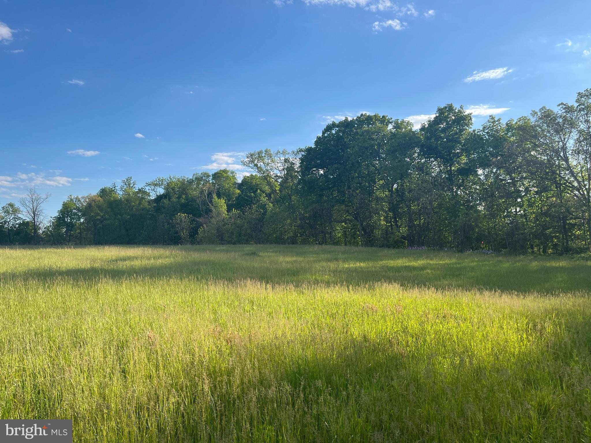10+ Acre Lot Near GettysburgEscape to the peace and privacy of the countryside with this exceptional 10+ acre homesite in the scenic Gettysburg area. Offering a rare combination of open pasture, mature woodland, and approximately 500 feet of frontage along beautiful Rock Creek, this property provides the perfect setting for a custom home, weekend retreat, or private recreational getaway.The front portion of the property features roughly 3 acres of flat to gently rolling pasture-type land, ideal for a homesite, gardens, or open yard space. From there, the land transitions into mature woods that slope naturally down toward the creek, creating a picturesque landscape rich with wildlife, privacy, and year-round natural beauty.Whether you choose to build near the front of the property for easy access and open views, or tuck your home deeper into the woods for a secluded retreat, the setting offers multiple potential building locations. During the winter months, elevated areas within the woods provide stunning seasonal views both up and down Rock Creek, including a unique vantage point overlooking a scenic bend in the creek.If you’ve been searching for a property that combines open land, privacy, mature woods, and water frontage, this unique parcel offers an outstanding opportunity to create your ideal rural escape.