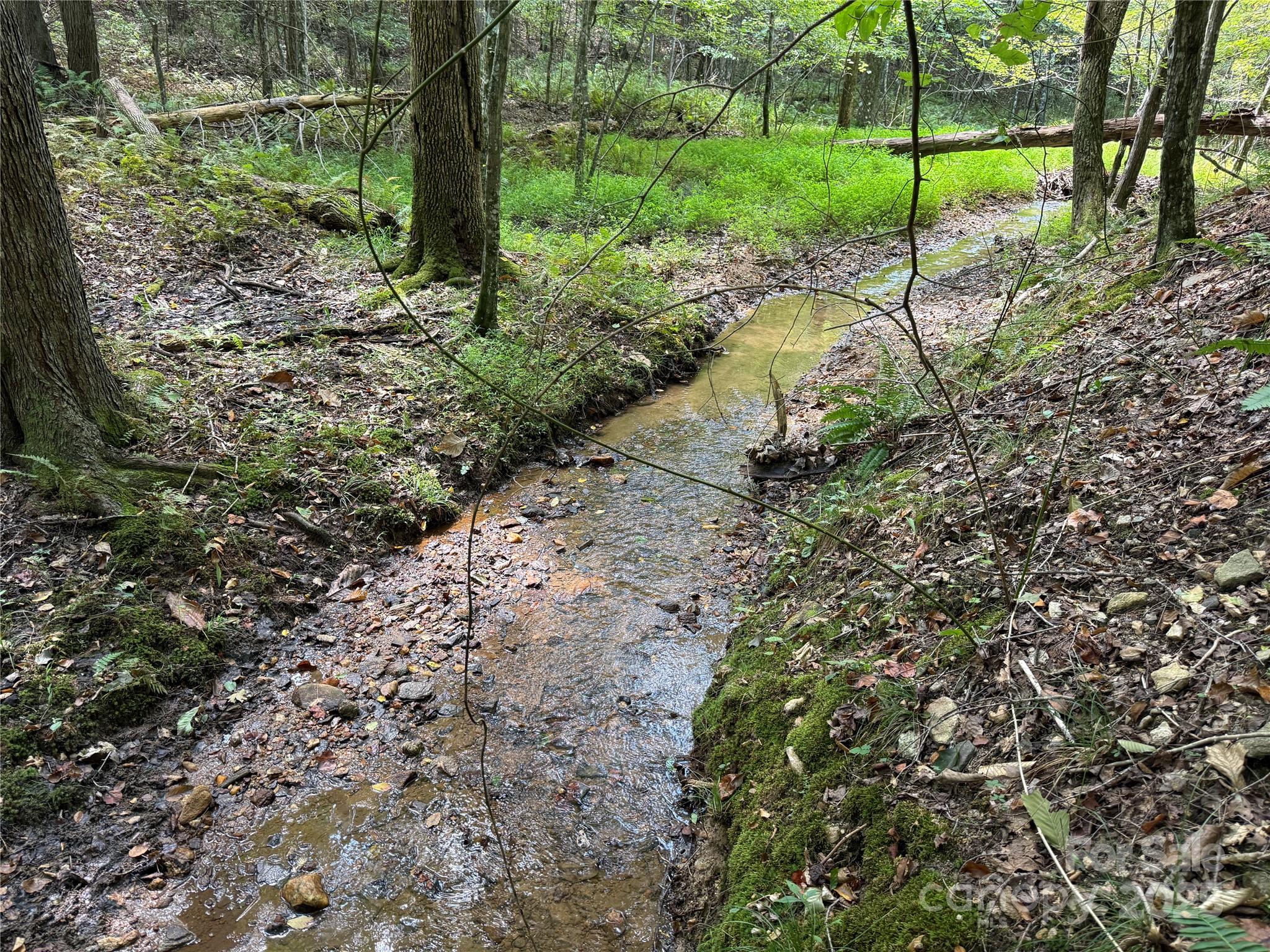 0 Mountain Brook Trail 298