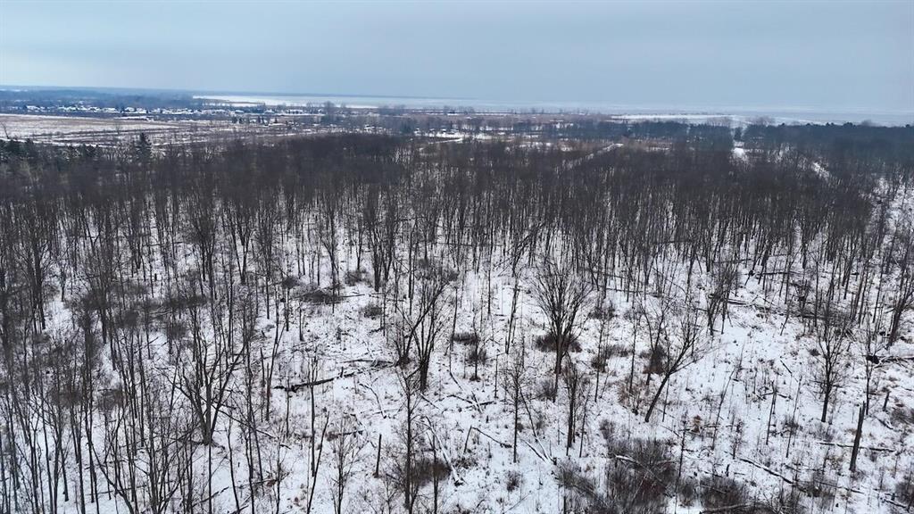 Located just one mile (+/-) from the shores of Lake Huron and only minutes from the conveniences of downtown Au Gres, this expansive 120-acre property offers an opportunity to start with raw, untouched ground and shape it into your own year-round outdoor escape. Whether your plans include hunting, trail riding, camping or simply having a quiet place to get away, the natural character of this tract provides a blank canvas ready for your ideal Northern Michigan retreat.The acreage features a diverse mix of thick lowland cover, brushy bedding areas, and pockets of mature timber, giving wildlife everything they need to thrive. Deer hunters will appreciate the heavy sign throughout - well-worn trails, rubs, natural edge habitat and secluded bedding pockets. This property offers potential for habitat improvements, food plot creation, strategic stand placement and developing a managed hunting property tailored to your goals.The property sits on a paved county road, providing reliable access in all seasons, with power nearby at the road for those considering future improvements such as a cabin, campsite or storage building. Its close proximity to Lake Huron also opens the door to boating, fishing, waterfowl hunting and endless recreation, all while maintaining the privacy and space of a large rural parcel.From spring turkey hunts and summer camping/boating trips to fall whitetail seasons and winter exploration, this 120-acre property stands out as a true four-season outdoor haven. Call Cody Keefer or Chuck Keefer today to schedule your own private tour. 989-859-6926 Current use is Hunting,Recreational.