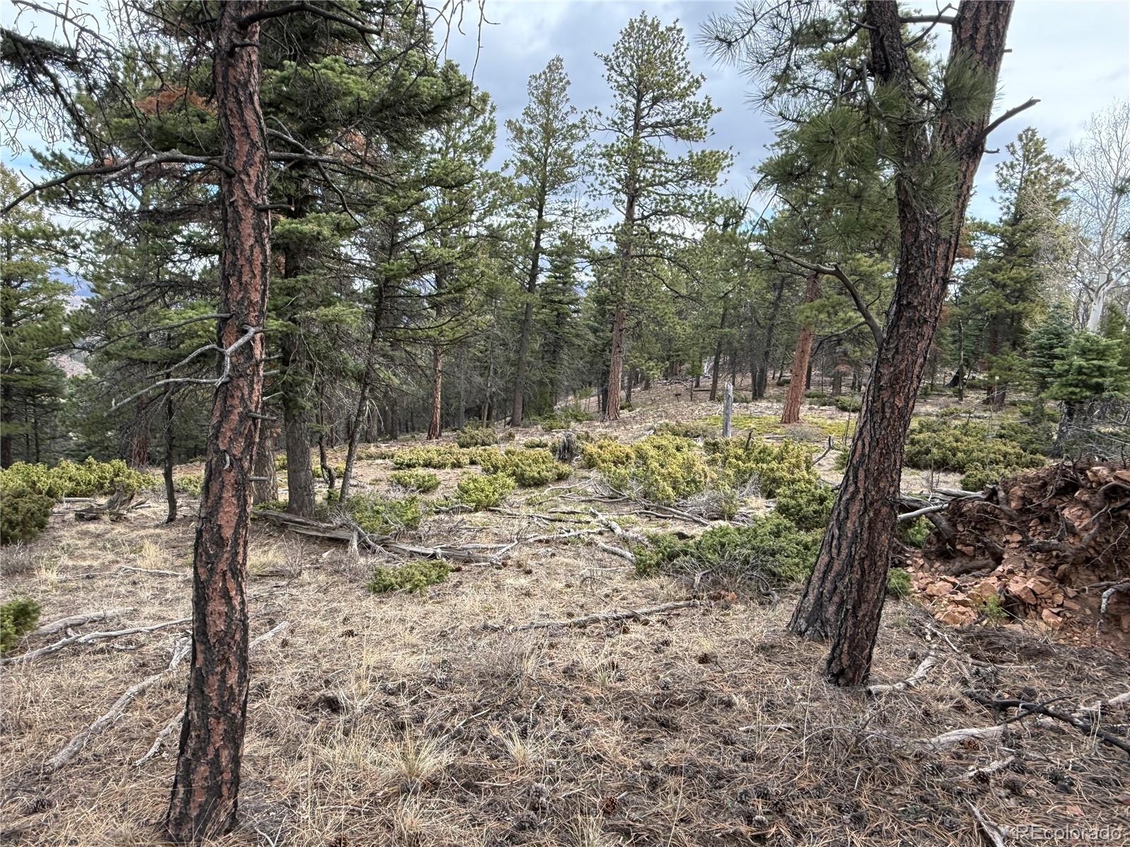 Lot 152 Tahmoush Lane