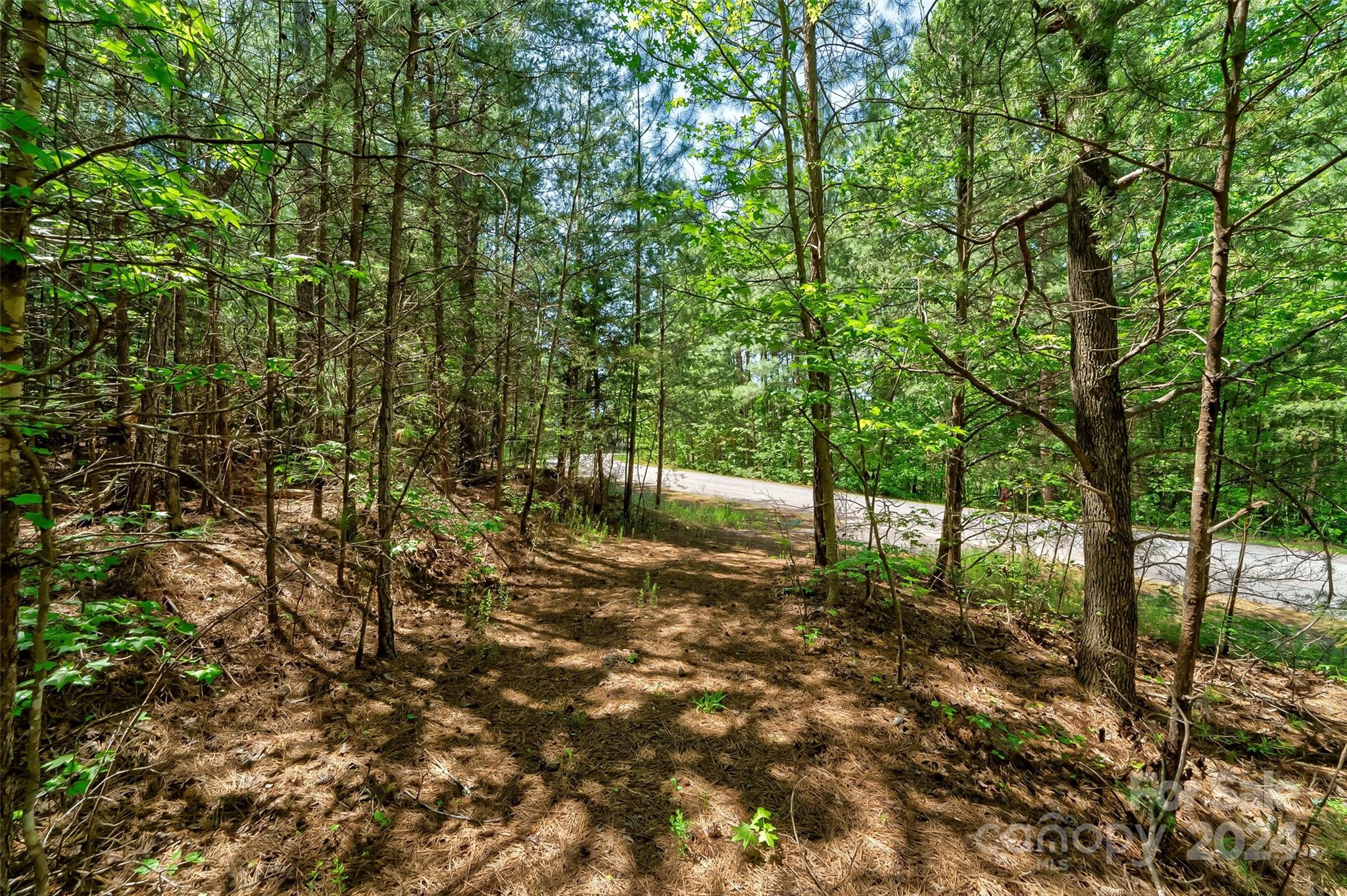 1179 Whispering Woods Drive 34