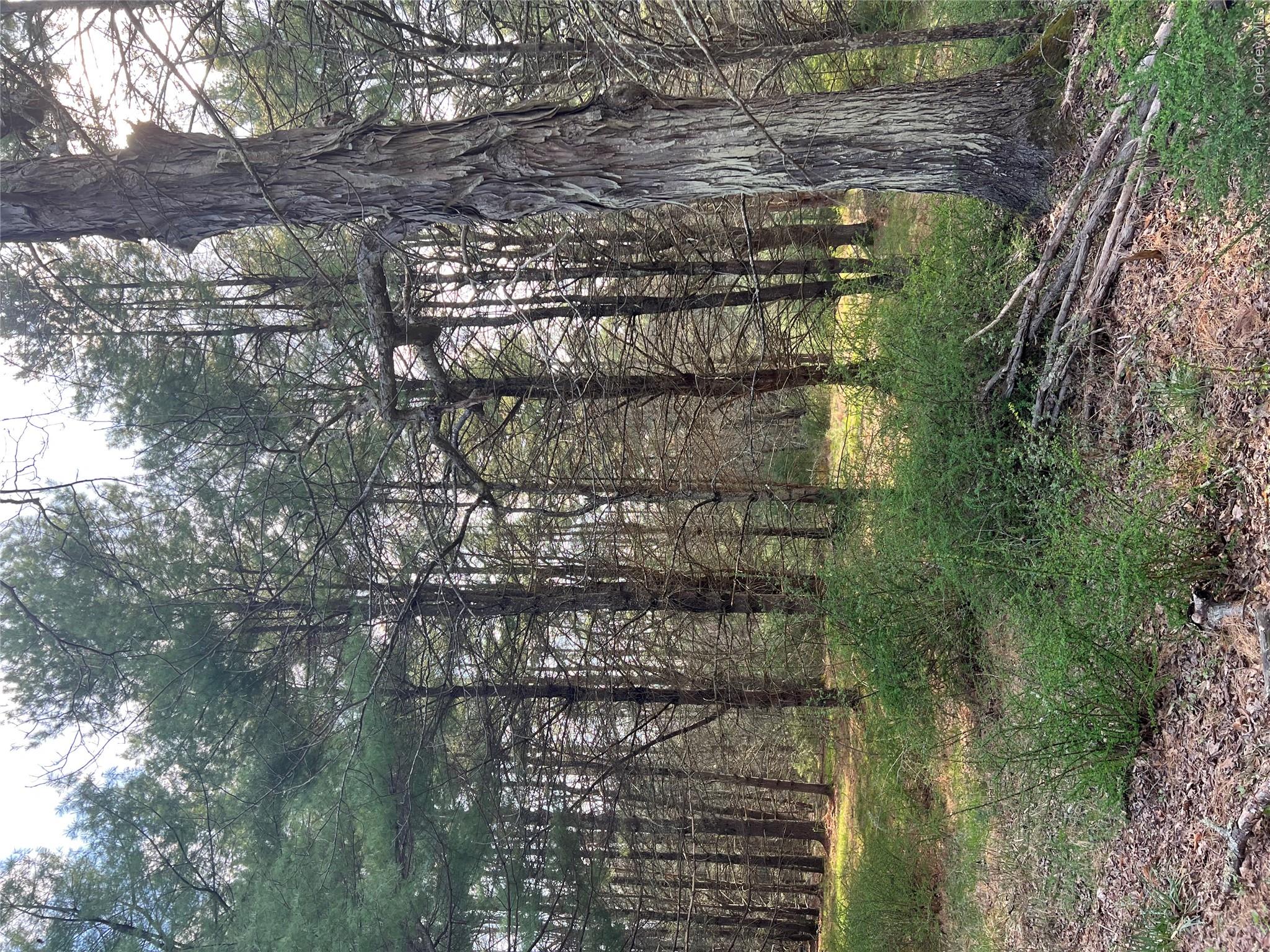 00 Upper Pine Kill Road