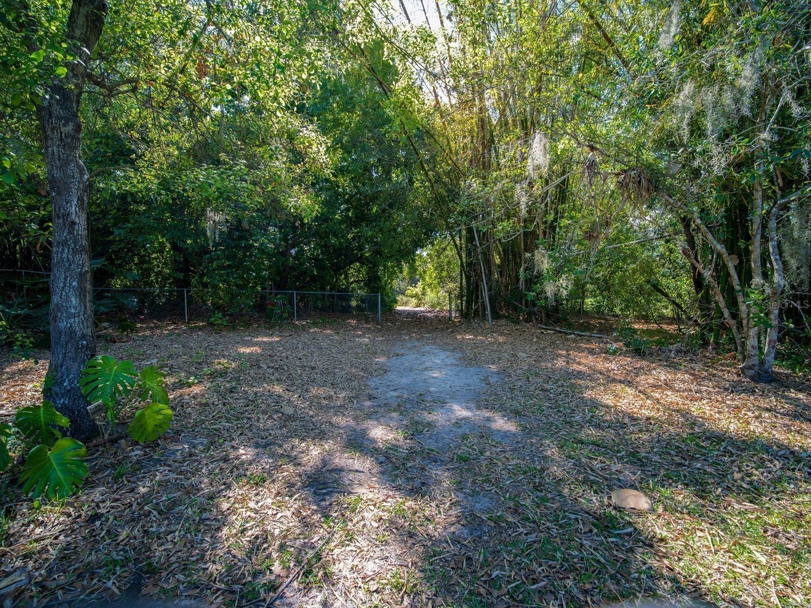 7311 Proctor Road