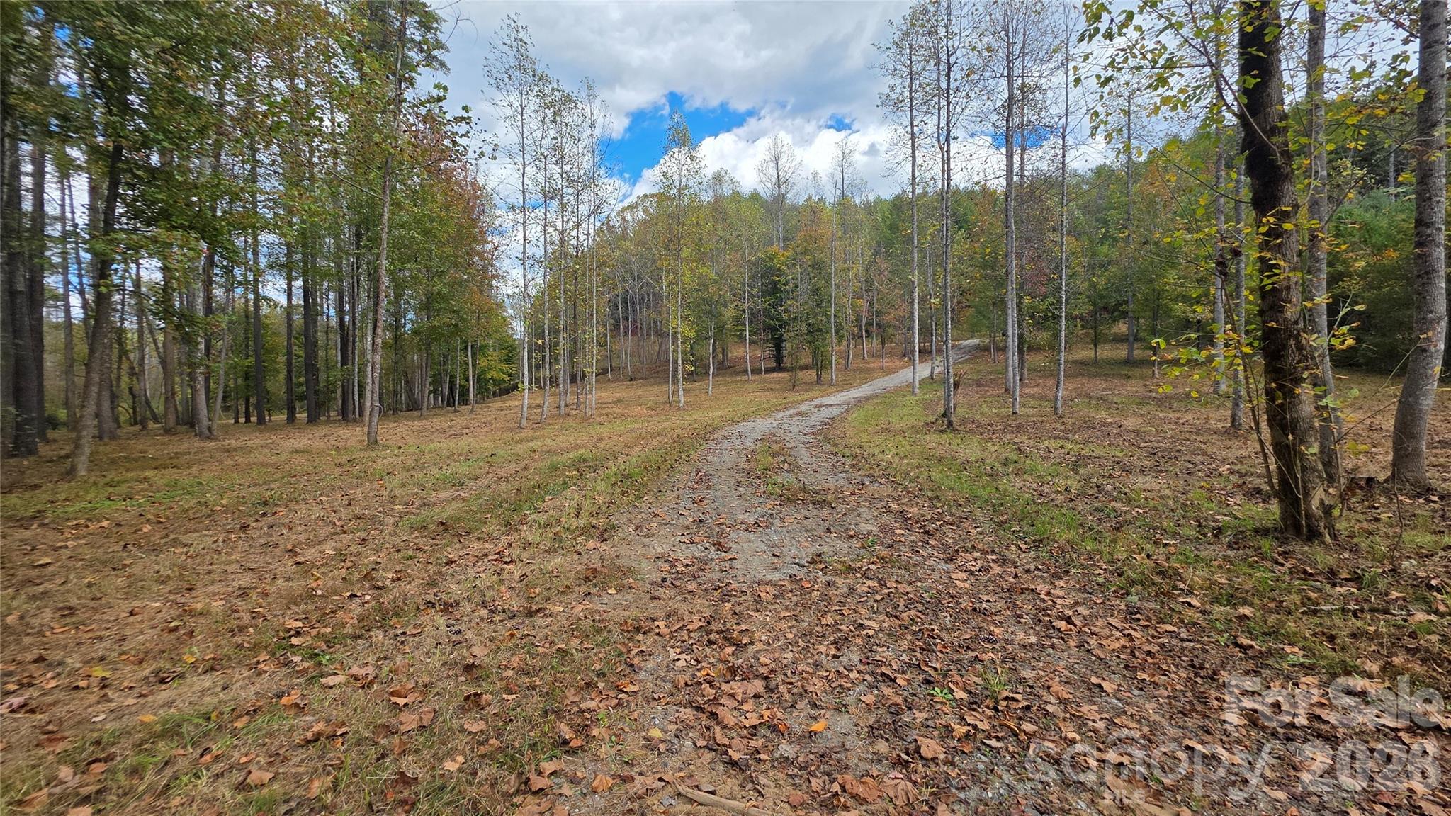 5915 River Hollow Trail 758