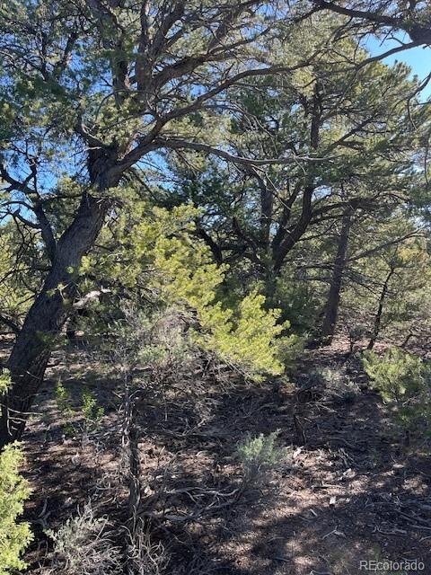 Lot 4 Elk Park Road