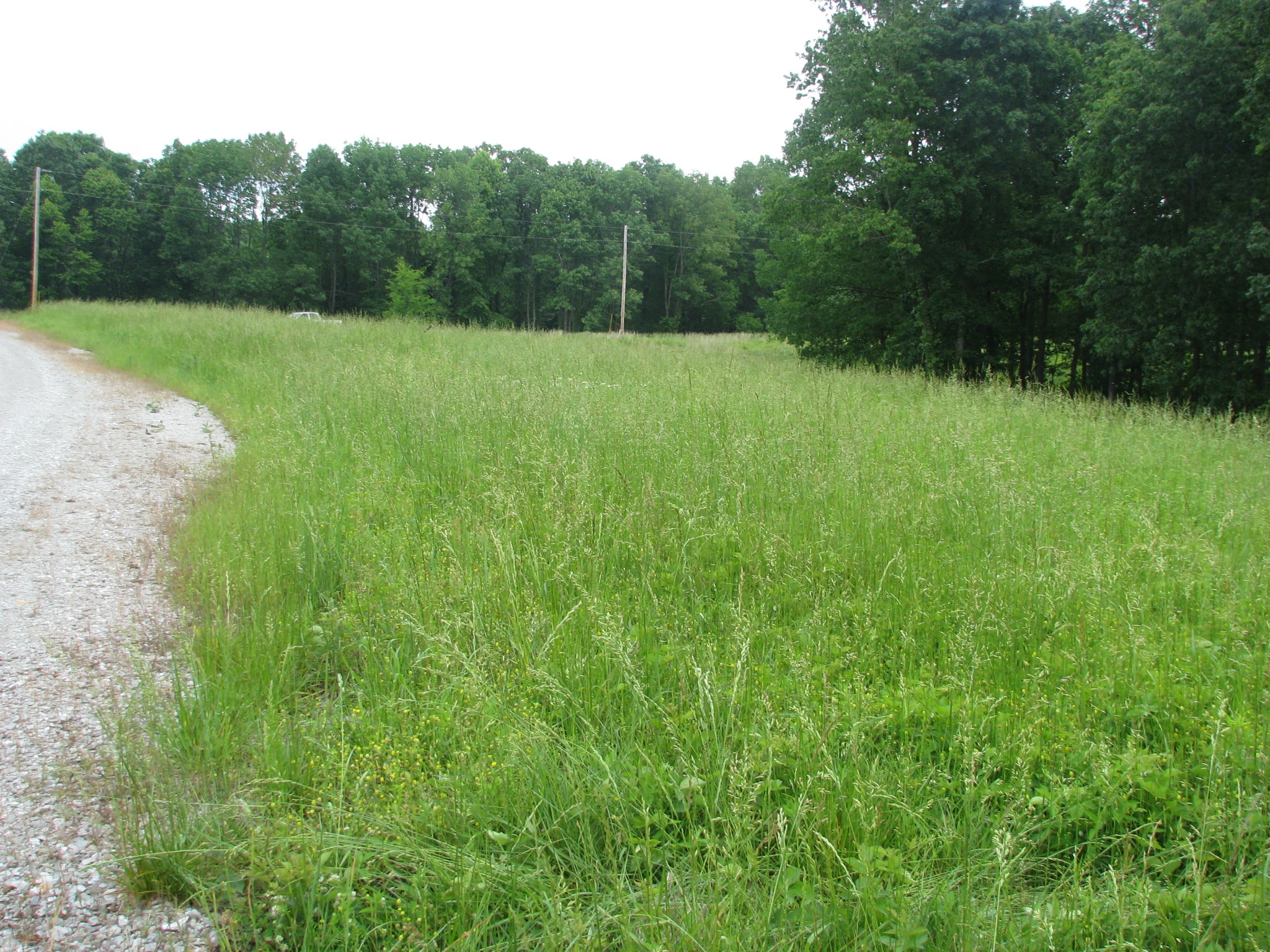 0 Barge Lane