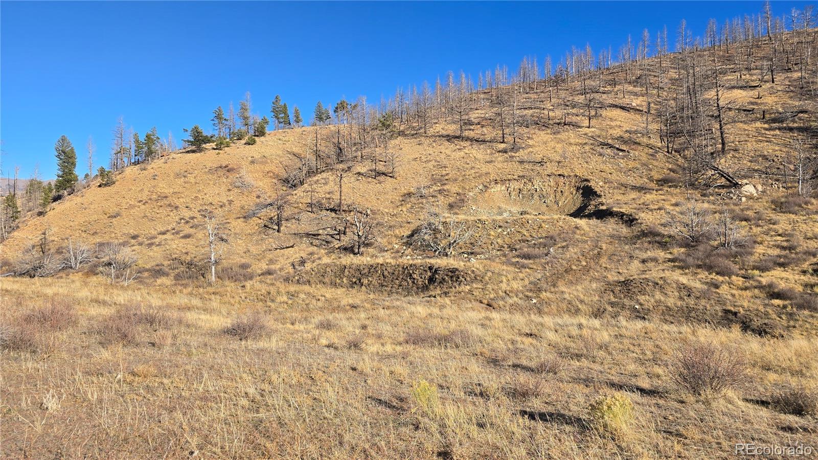 7741 Van Giesen Road