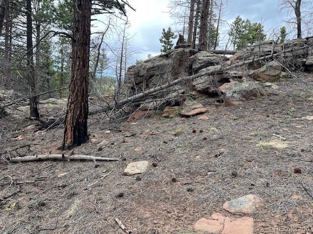 Lot 513 Leslie Loop