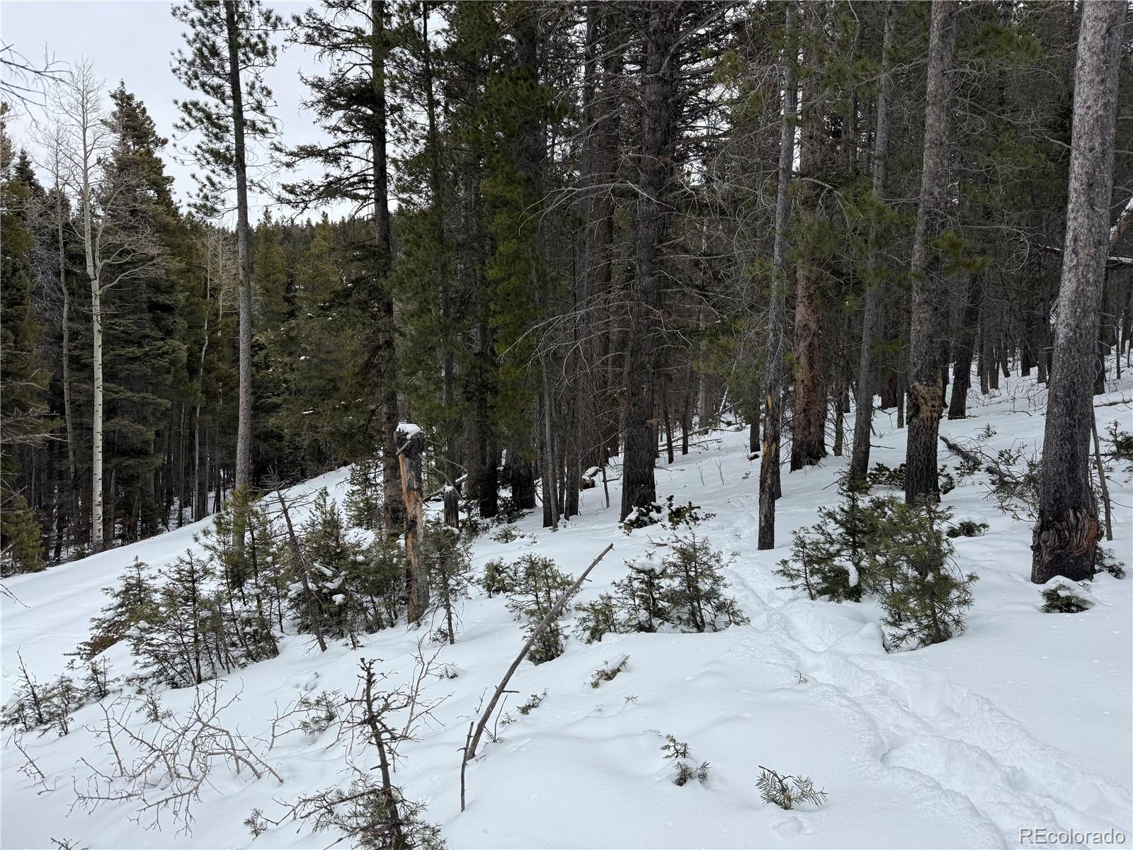 Lot 2759 Purnell Lane
