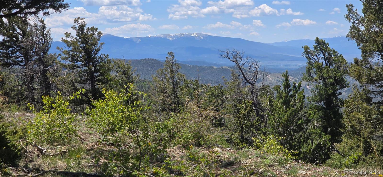 Lot 5546 Balleroy Road