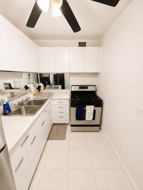 1451 E 55th Street 723N