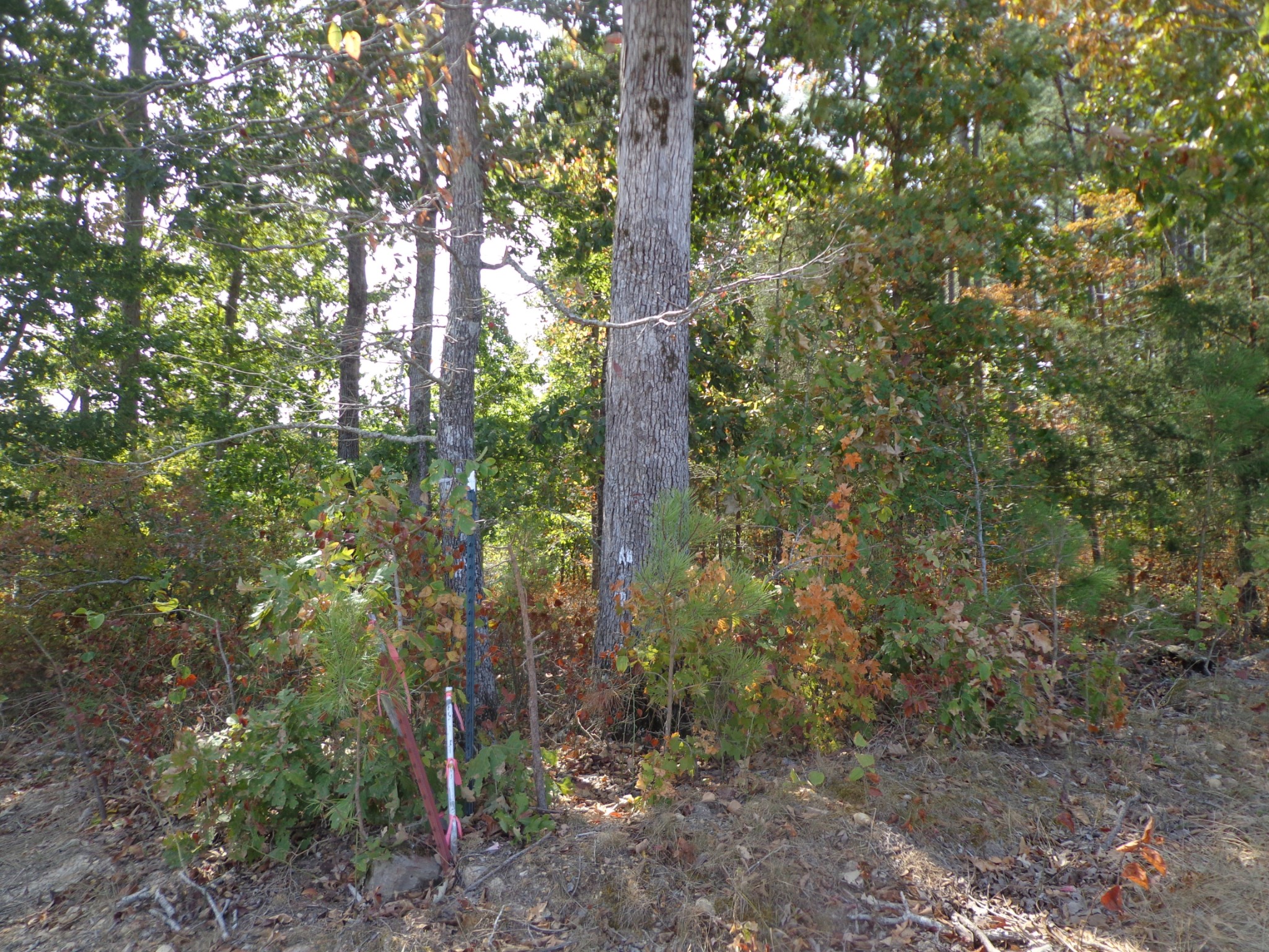 0 Tennessee Ridge Road