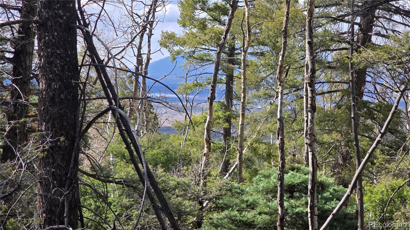 Lot 5261 Scott Road