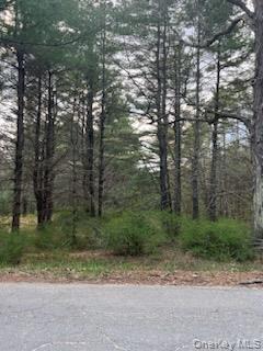 00 Upper Pine Kill Road
