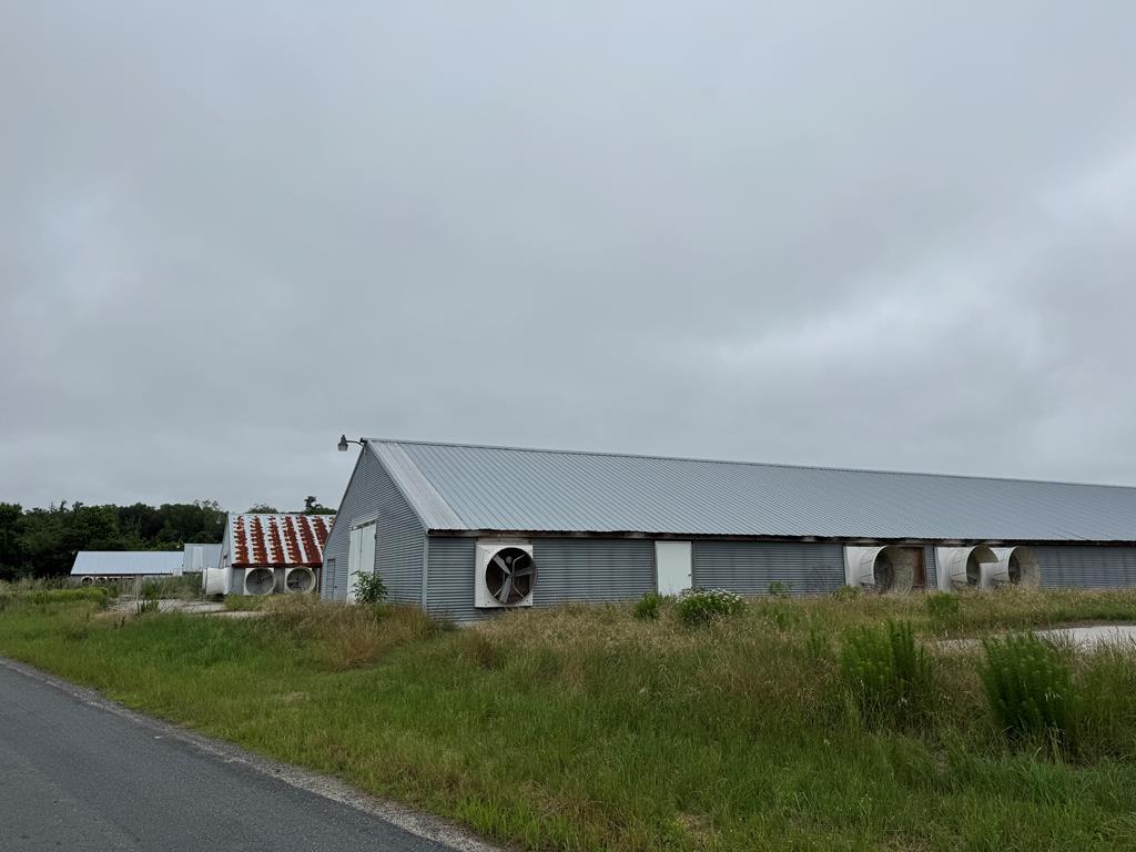 Five chicken houses on an 18-acre corner lot! Sizes of chicken houses and their approximate years built are: 42 x 500 - 1992, 46 x 500 - 2006, 44 x 540 - 1992, 46 x 560 - 2006, 44 x 580 - 1992. Chicken houses will need extensive upgrades in order to be put back into production... hence the low price. Be creative! Use the houses for your own chickens, or goats, or sheep, or horses. Also potential to remove the chicken houses, sell the metal, and have an nice 18-acre parcel with several wells on it. There are some hunting opportunities here too. Not far from boat ramps that can get you boating access to Pocomoke Sound and all of the fishing and crabbing possibilities in the area. Be creative.