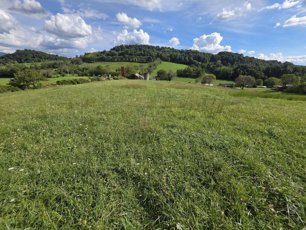 8.36 Scenic Acres in the Heart of Mitchell Valley – Marion, Virginia  Bring your vision to life on 8.36 beautiful acres in scenic Mitchell Valley. With peaceful surroundings, mountain views, wildlife and several acres traditionally used for growing and cutting hay, this property offers a wonderful blend of natural beauty and usable land. Enjoy the privacy of country living while still being part of a welcoming rural community.   The property includes a silo and the remaining structure of an old family barn, offering an exciting restoration or rebuilding project. Imagine creating a small farm, private country retreat, family homestead or future homesite surrounded by the beauty of Southwest Virginia.  Hungry Mother State Park is located just beyond the acreage, providing convenient access to hiking, fishing, camping and year-round outdoor recreation.  Whether you are searching for land for farming, animals, gardening, recreation or a peaceful place to call home, this Mitchell Valley property is ready for someone with a dream and a vision.  Buyers and their agents are encouraged to verify property boundaries, access, utilities, zoning, building requirements and intended uses.  Don't miss the opportunity to explore everything this special property has to offer. Contact the listing agent for pricing, directions or a private showing.