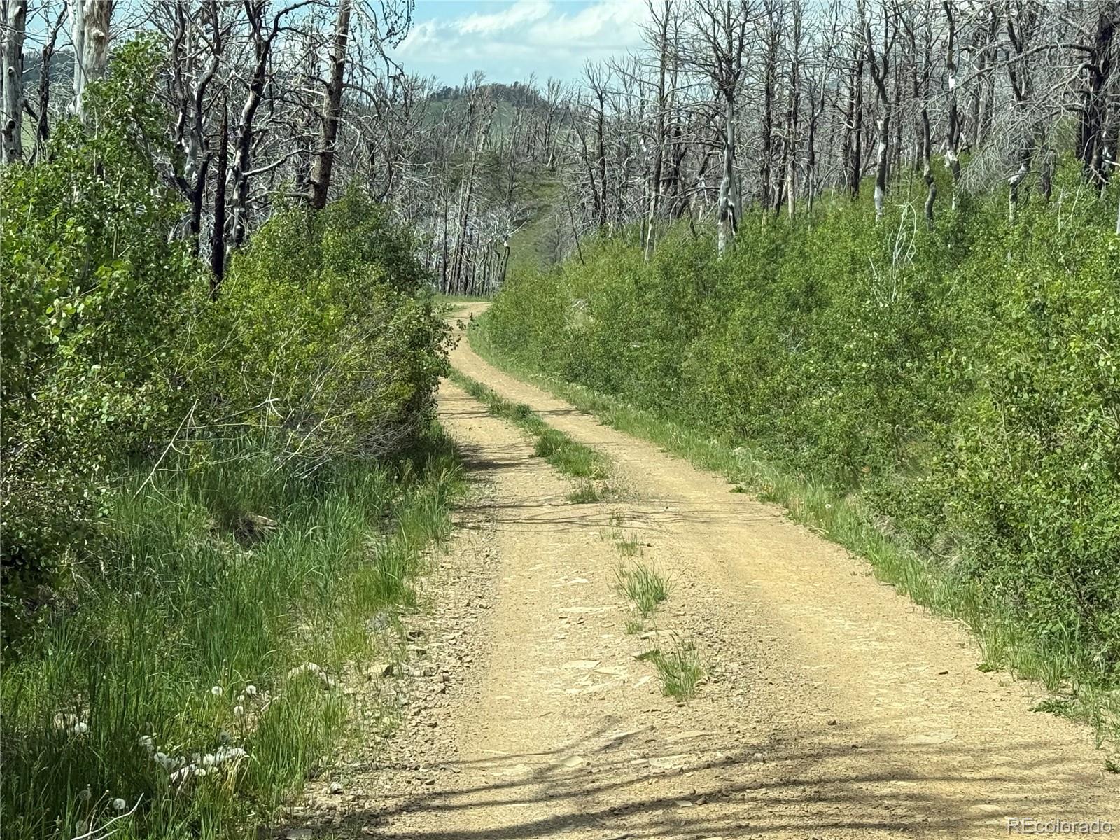 Lot 428 Powers Road