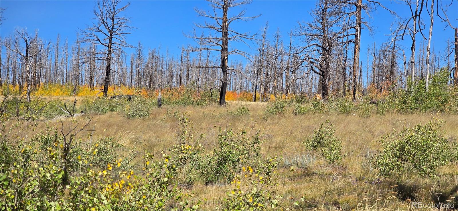 Lot 1684 Emery Loop