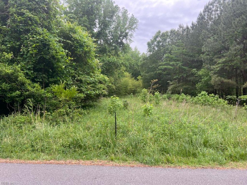 1 acre Mansion Avenue