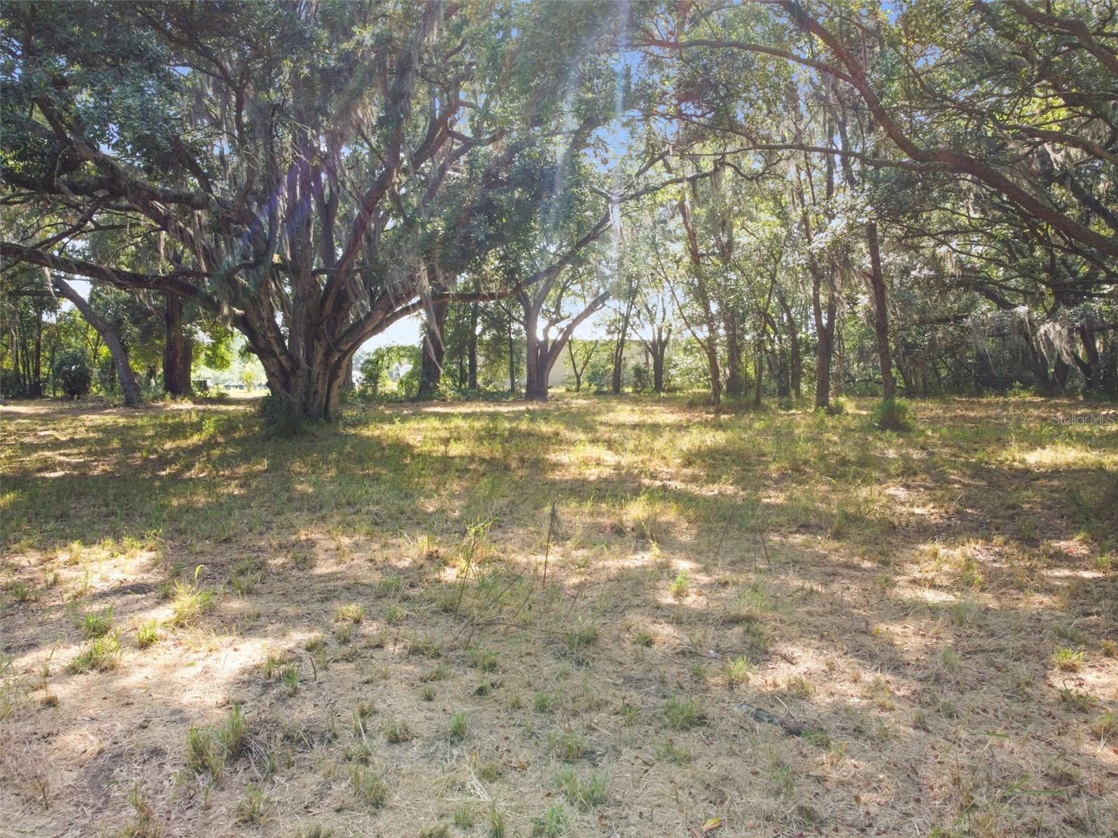 8221 Carey Road