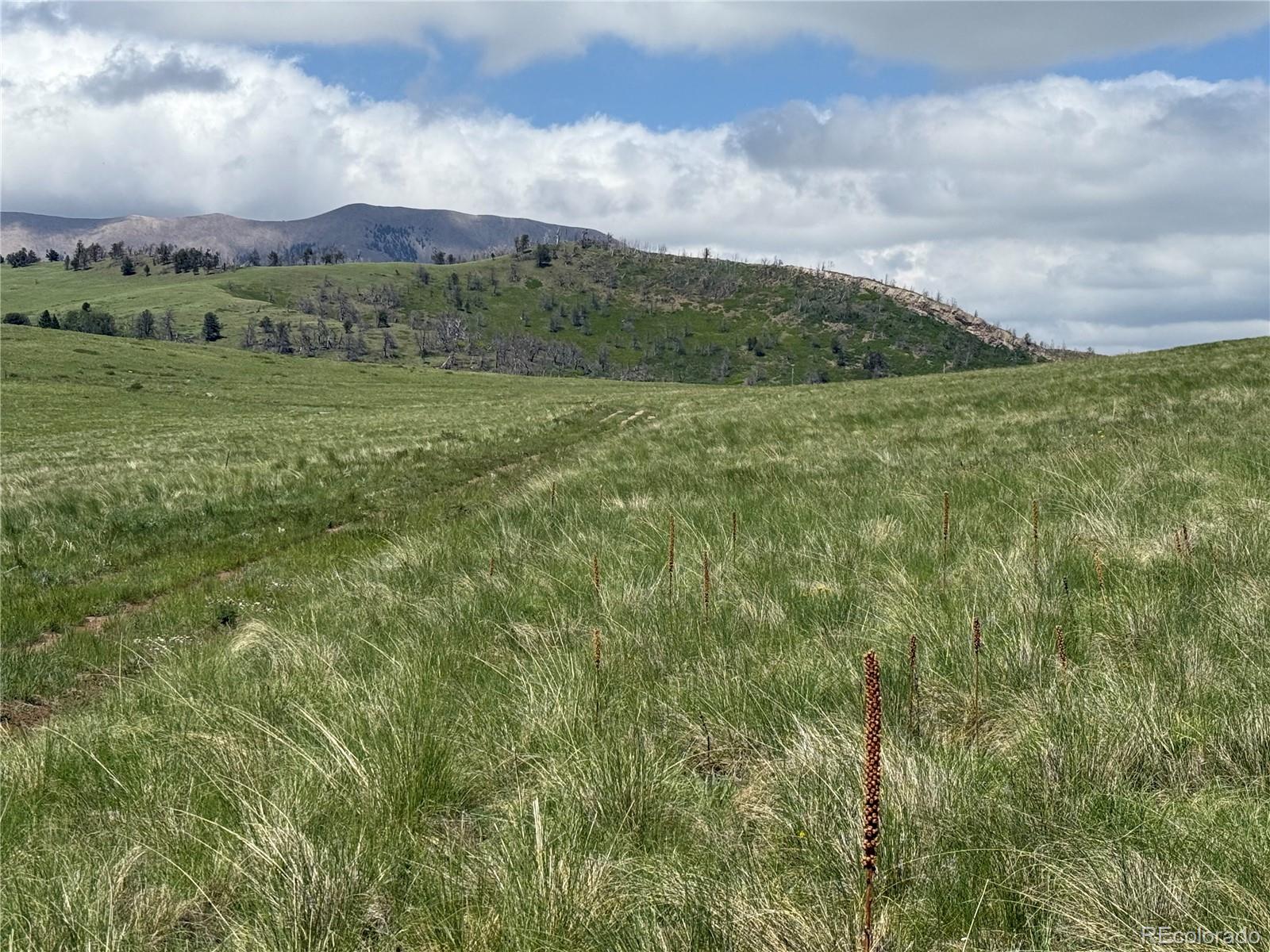 Lot 428 Powers Road
