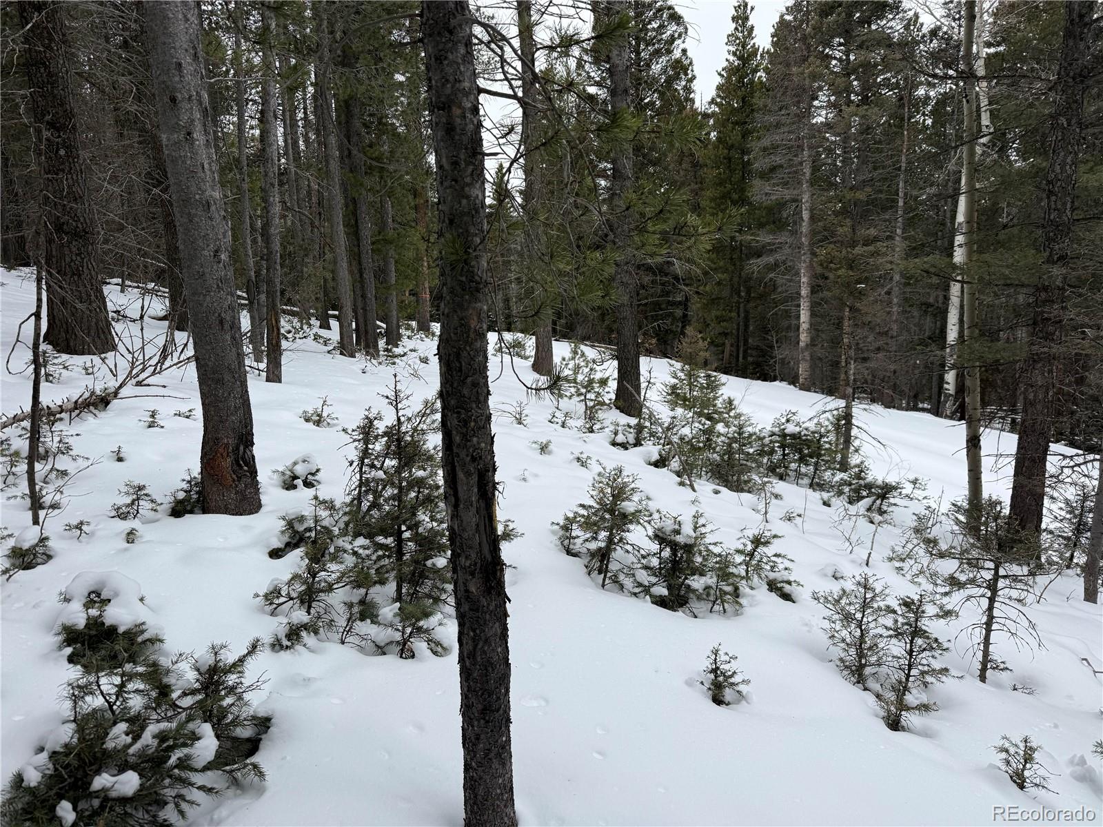 Lot 2759 Purnell Lane