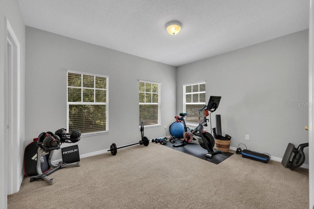16007 Mulberrypark Circle
