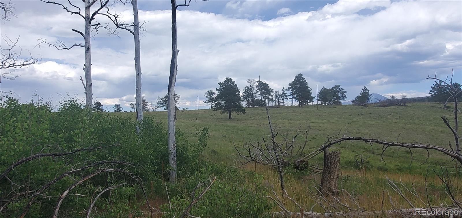 Lot 1720 Fitts Place