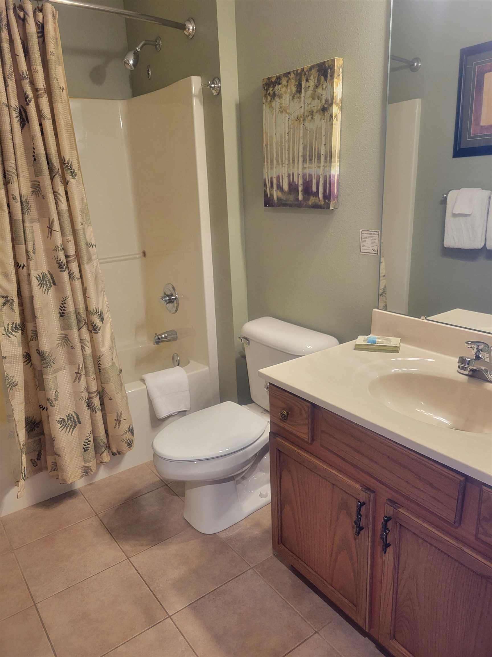 1992 Wild Eagle Lane 217