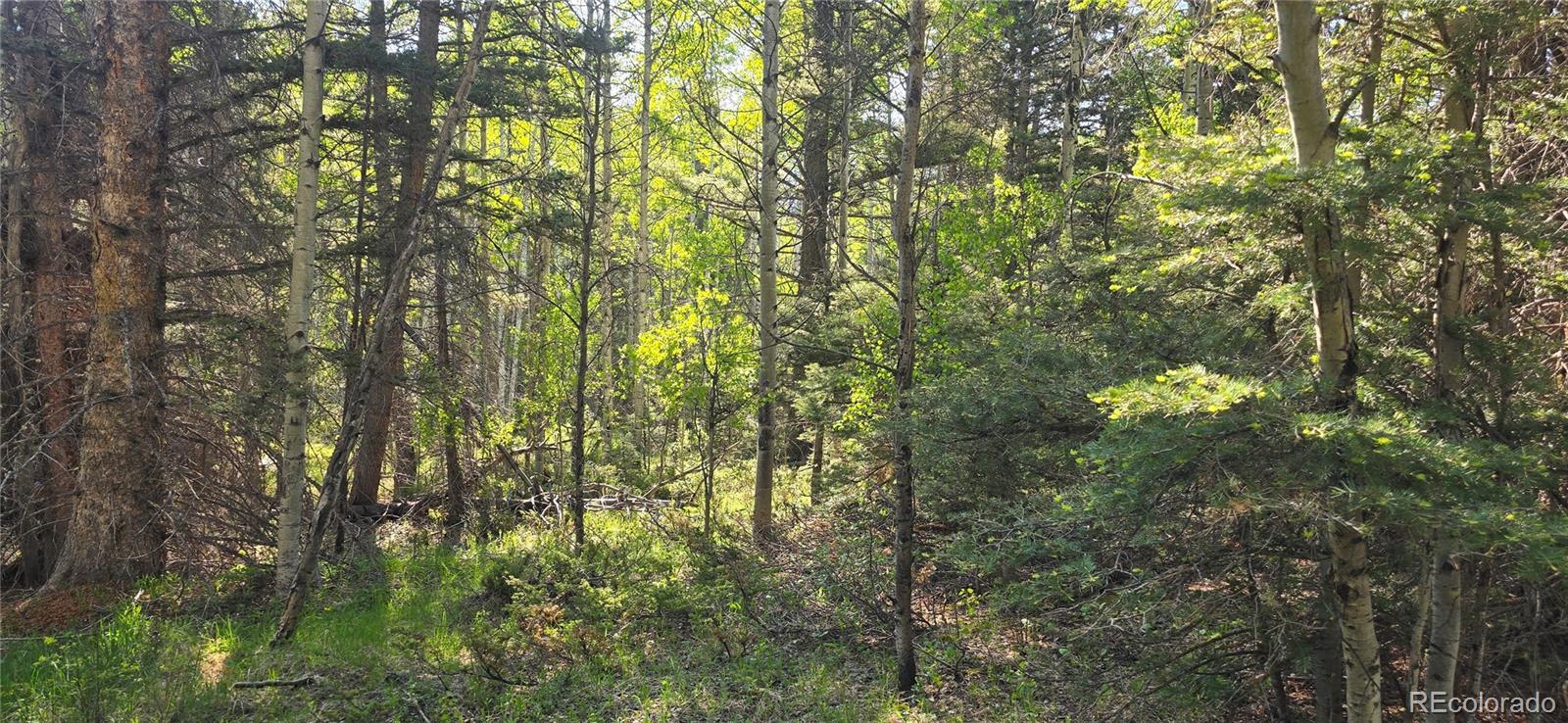 Lot 6385 Jaquez Road
