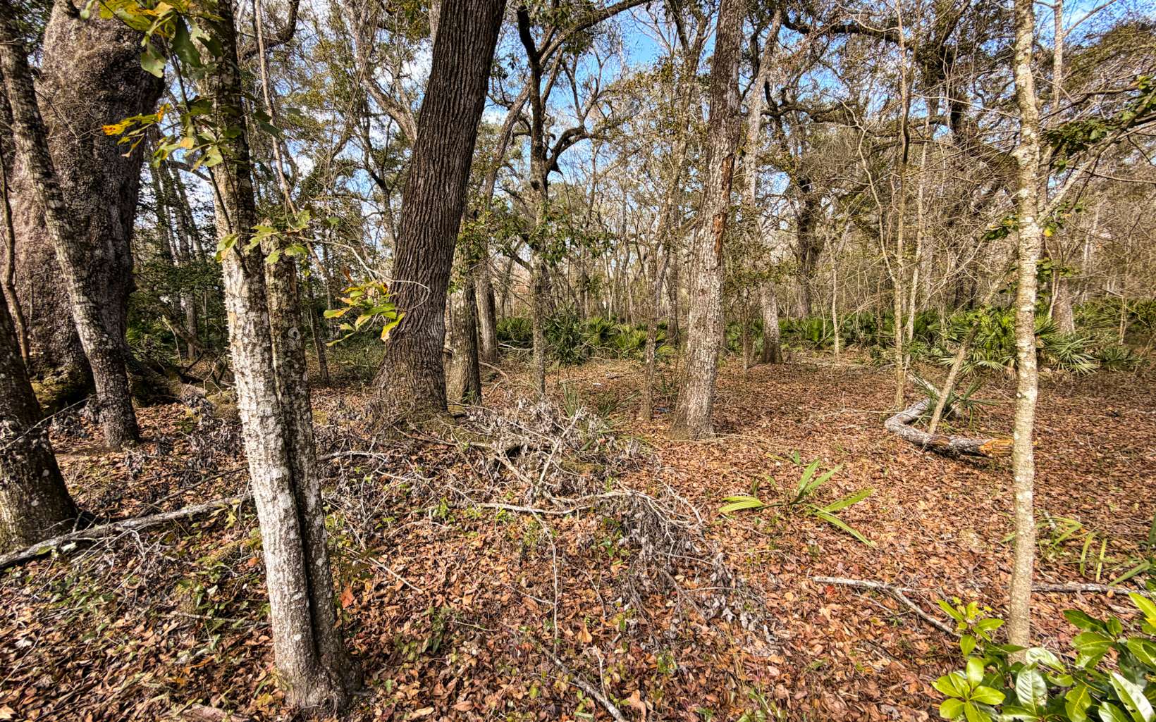 Three Rivers Estates Florida For Sale