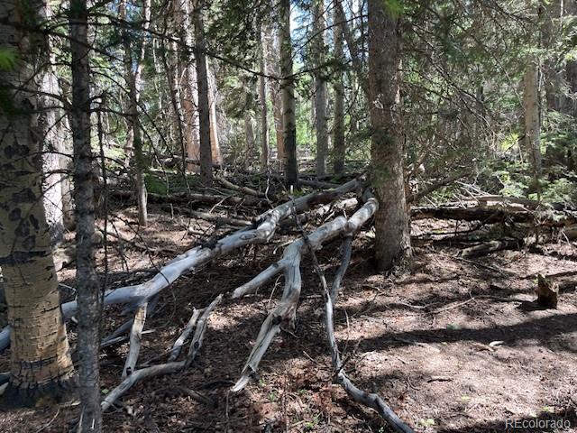 Lot 2893 Coder Place