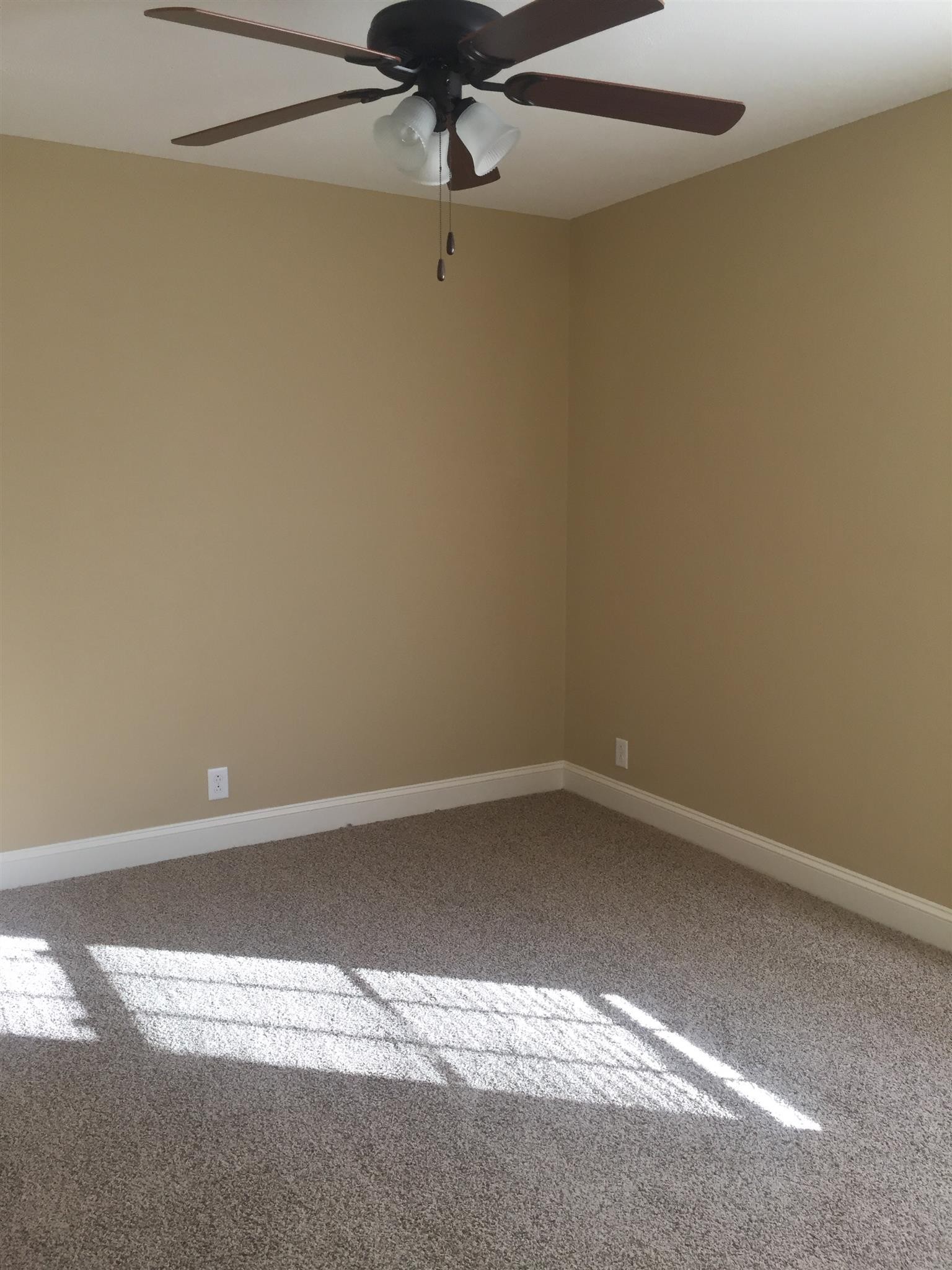415 Palamino Lane